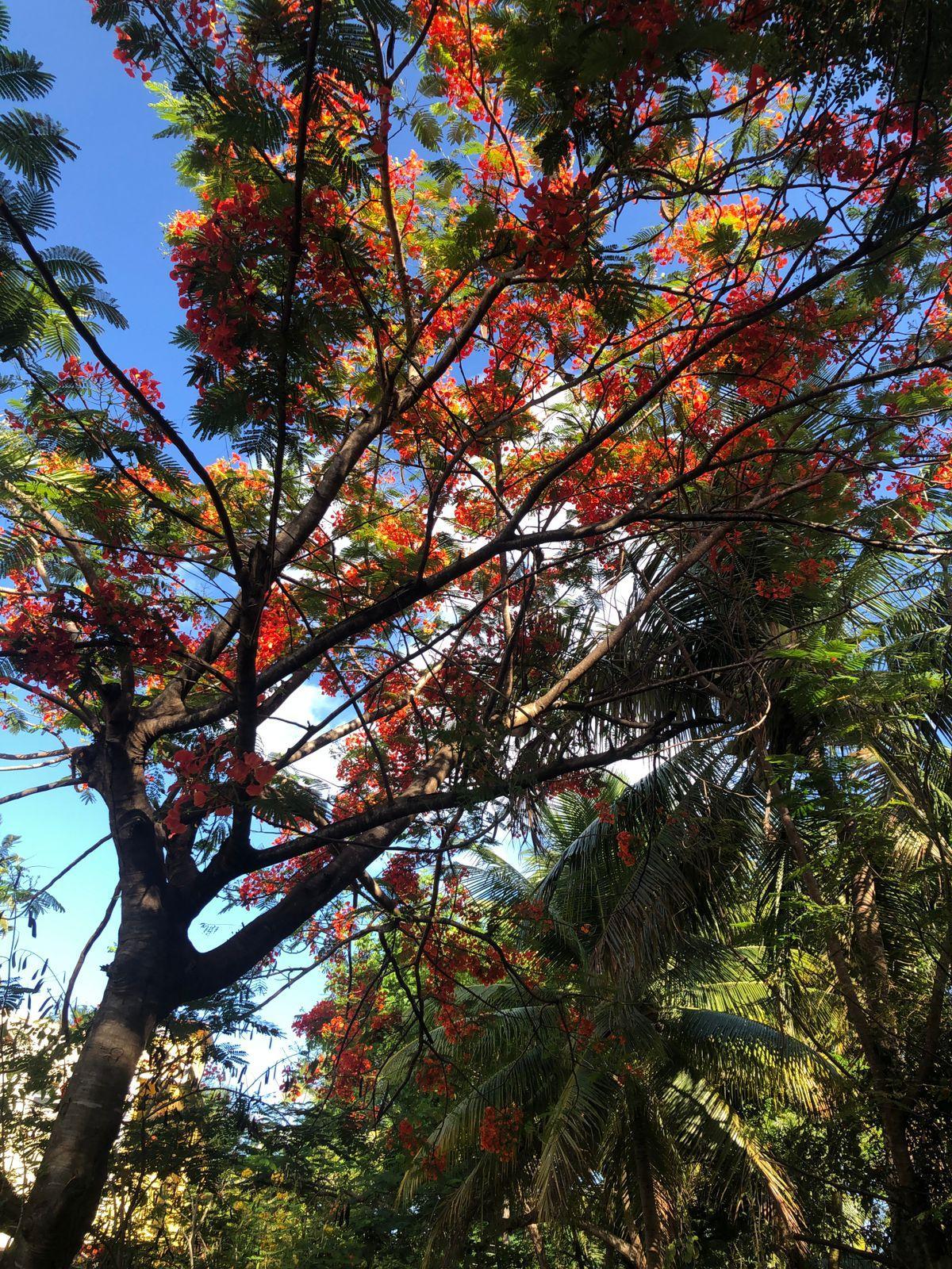 Ponta De Mangue Estalagem 3*
