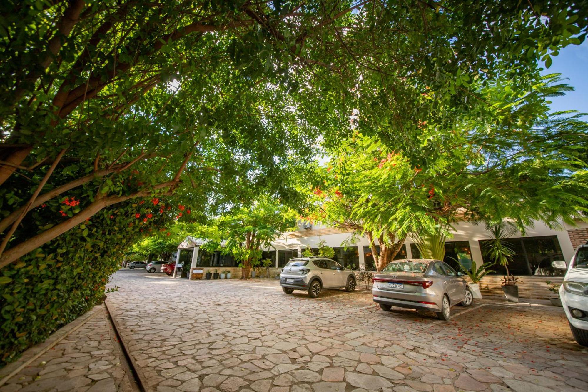 Ponta De Mangue