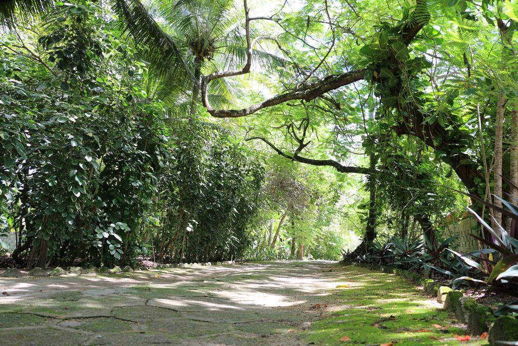 賓館 Ponta De Mangue 3*