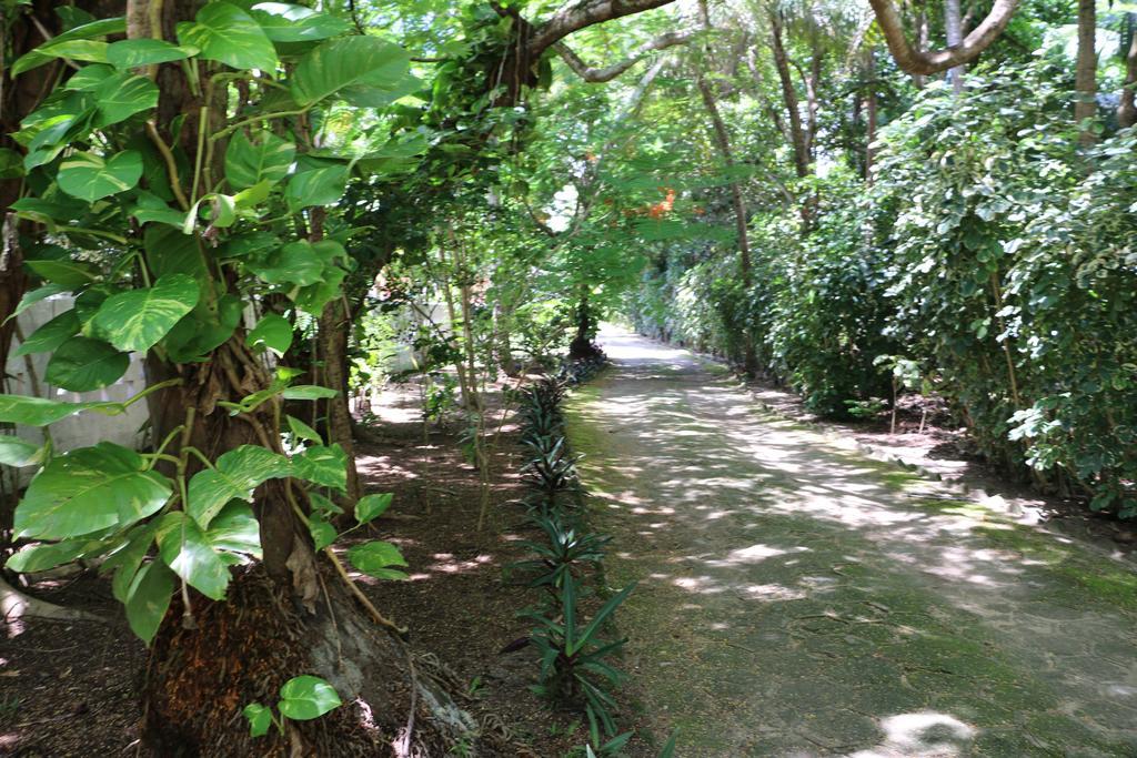 賓館 Ponta De Mangue