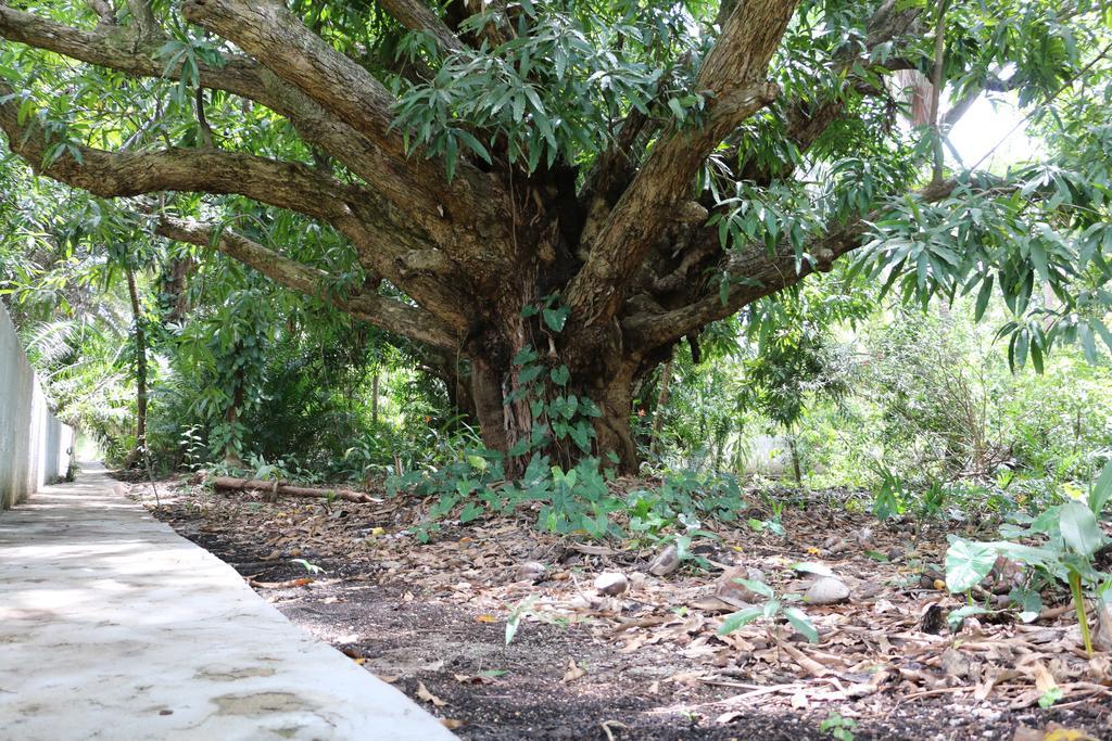 賓館 Ponta De Mangue