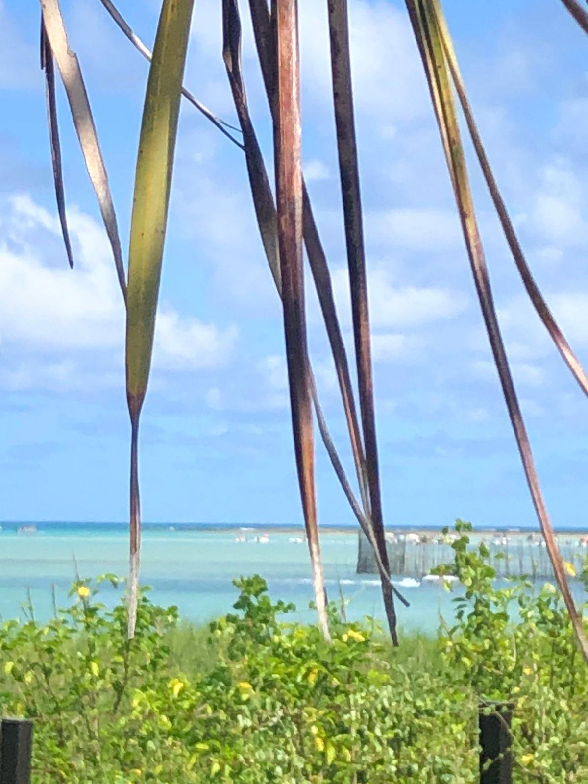 Ponta De Mangue 賓館