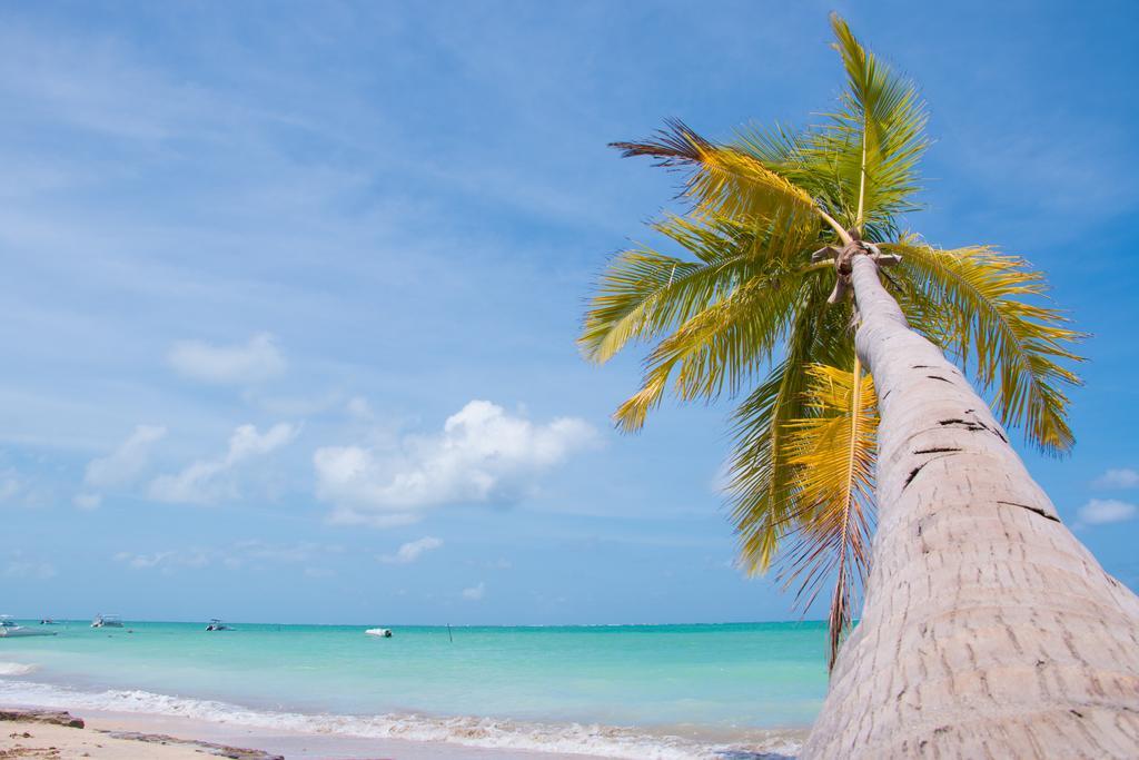 Ponta De Mangue 賓館 Maragoji